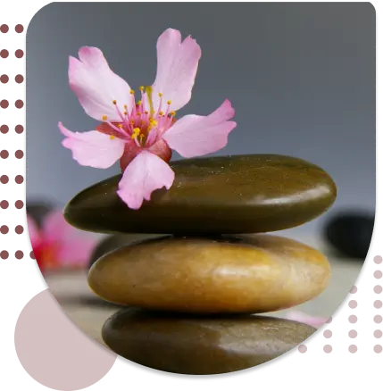 Functional Medicine - Butterfly Effect