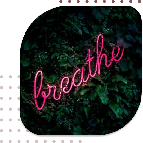 Mental Fitness Coaching - Butterfly Effect